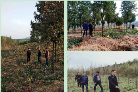 20190329090301217_beXAJgki.png