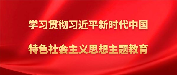 学习贯彻习近平新时代中国特色社会主义思想主题教育